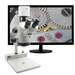 Stereo Zoom Trinocular Microscope, with Mighty Cam Pro On PLED Stand