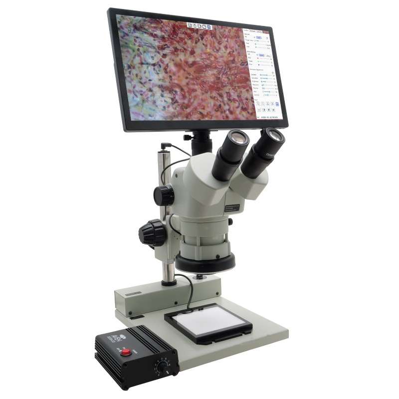 Microscope, 50X, Post Stand with LED Backlight, w/Mighty Cam Eidos 4K XL Camera/Monitor, Stereo Zoom Series