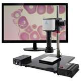 Digital Microscope System, 26700-111 redirect to product page