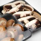 Vented Perforated Mushroom Overwrap Film, 14" x 5000 Ft Roll redirect to product page