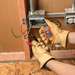 Circuit Breaker Finder Kit