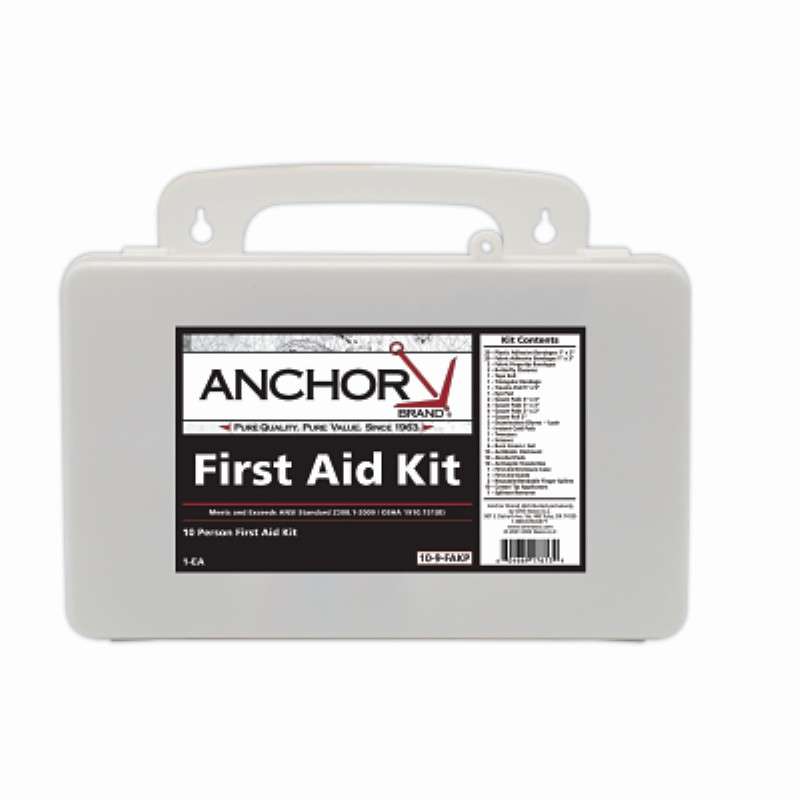 First Aid Kit, 10 Person, ANSI 2009, Plastic Case, 111-Piece