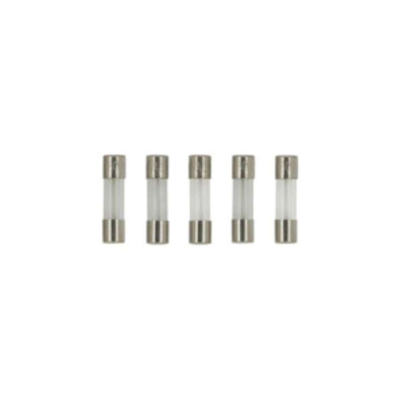 Fuse, 1.0A, Time Lag, IEC, 5/Package