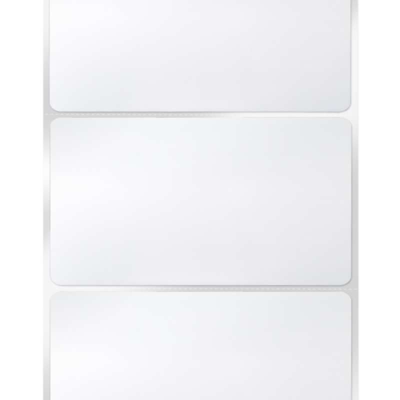 Ready To Order Cleanroom Labels, Matte Labels, Blank, 4" x 2", Removable Adhesive, 1000 Labels per Roll, 4000 per Case