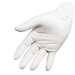 Cleanroom Powder-Free Nitrile Glove, X-Large, White  10 BG/CT