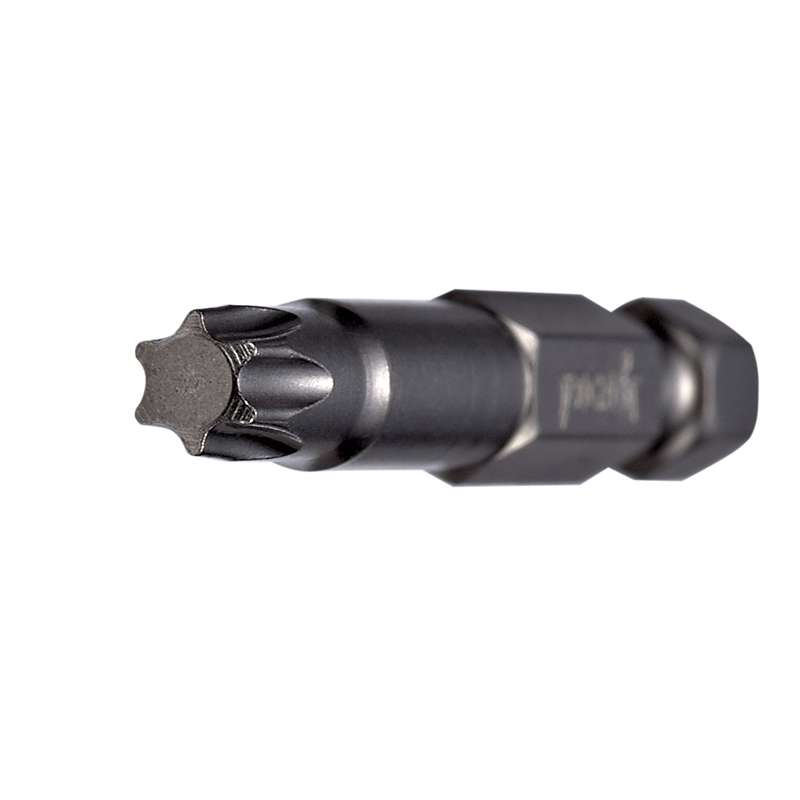 Torx 25 Power Bit X 2
